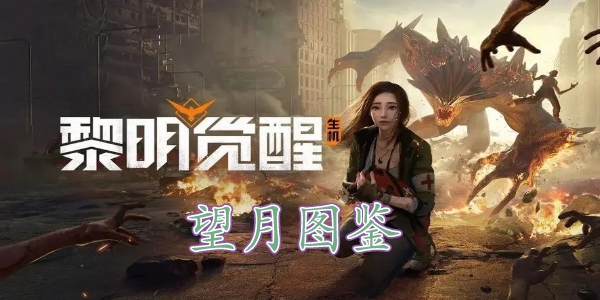 黎明覺醒望月藏寶圖在哪裏 黎明覺醒望月藏寶圖位置分享