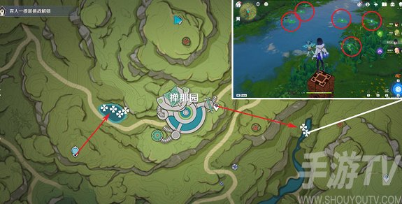 原神月蓮采集地點 月蓮采集路線圖分享