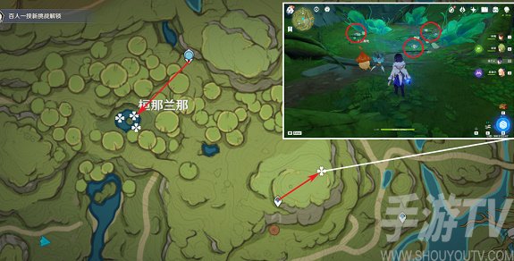 原神月蓮采集地點 月蓮采集路線圖分享