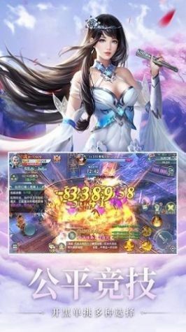 仙道之怒截图