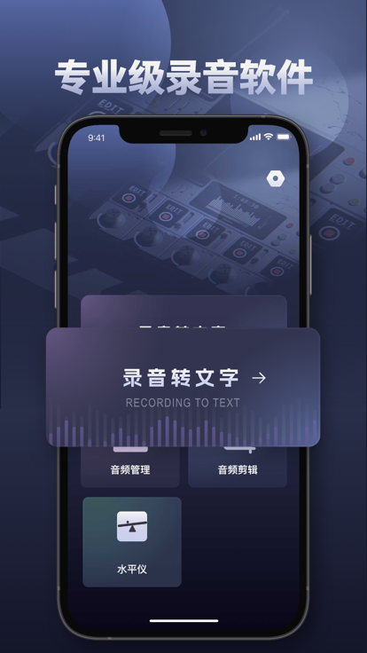 录音转文字湘云录音截图