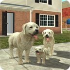 DogSim