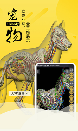 3dbody宠物