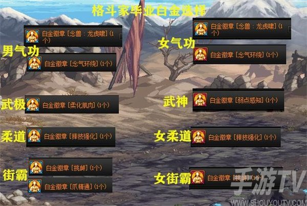 DNF白金徽章选择大全 全职业白金徽章怎么选择[多图]图片3