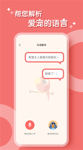 鹦鹉翻译器截图