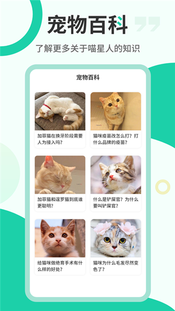 猫叫翻译机