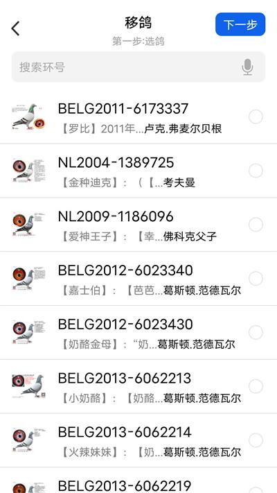 信鸽云