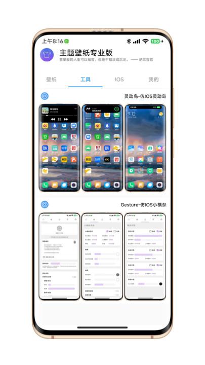 主题壁纸专业版app