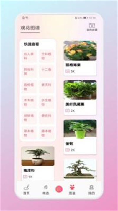 養花小助手