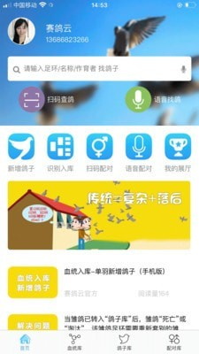 赛鸽云截图