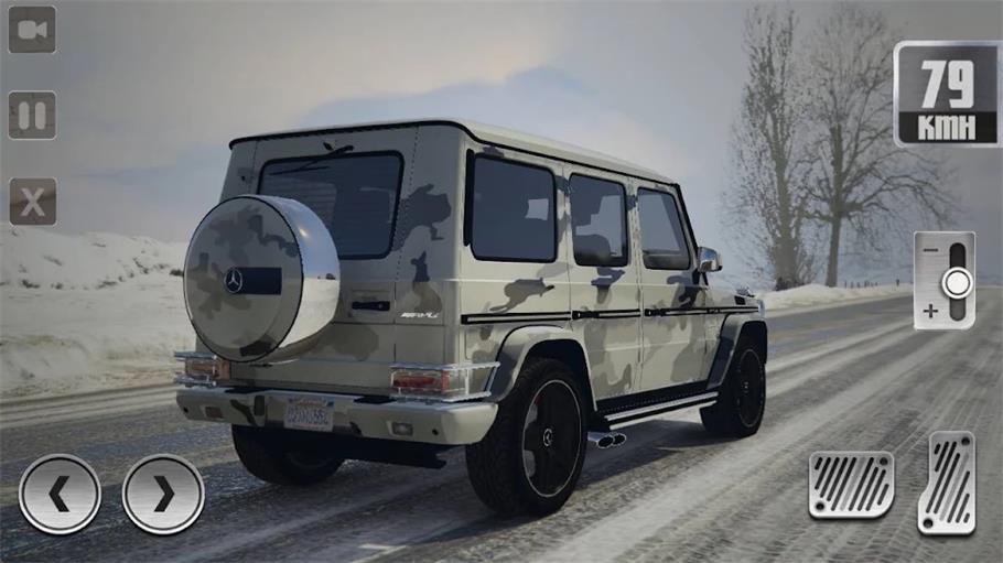 G65停车模拟器