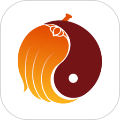 孔明再現