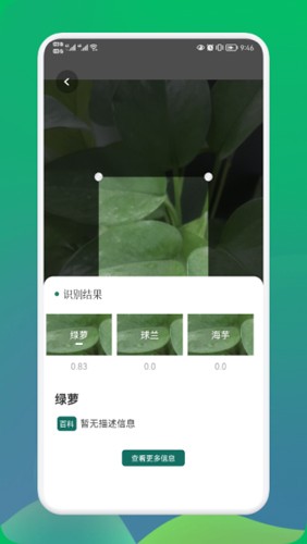 小園丁植物識別app