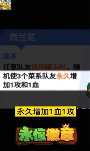 永恒徽章自走棋无广告版截图