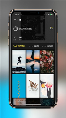 紙塘壁紙app