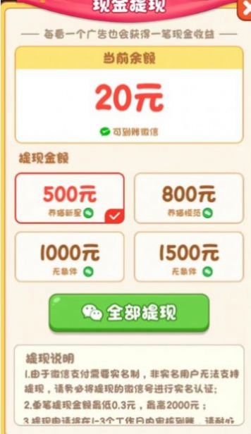 我家猫舍2023