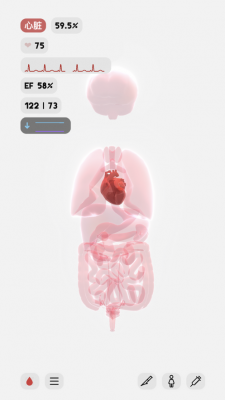 life生命模拟器截图