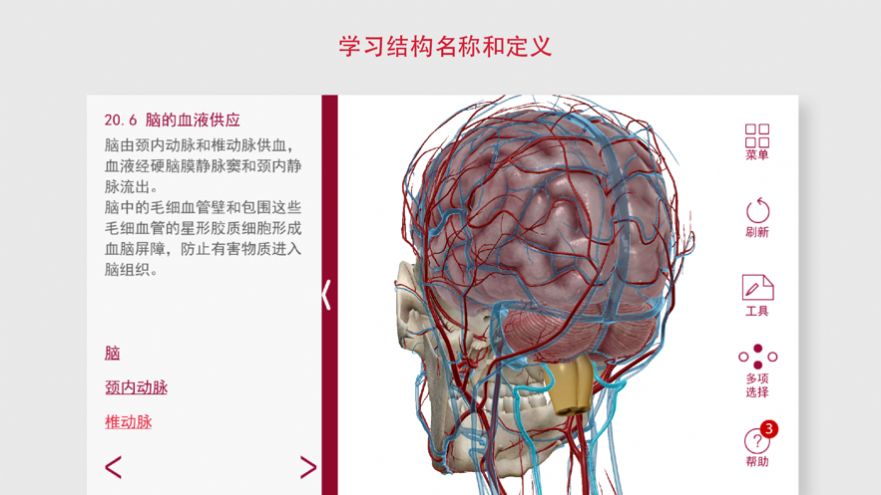 解剖和生理学