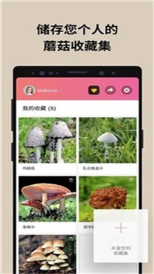 蘑菇识别扫一扫app