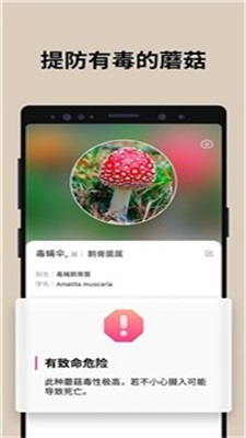 蘑菇识别扫一扫app