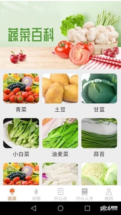 绿色菜园子截图