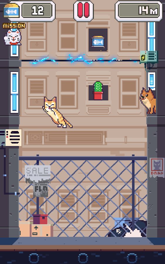 貓咪跳躍
