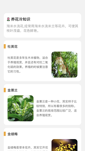 百花悦看软件截图