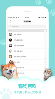 猫狗神翻译截图