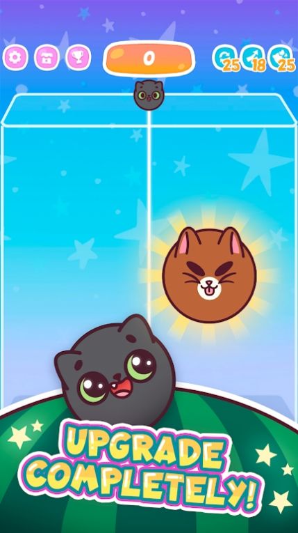 合並西瓜小貓