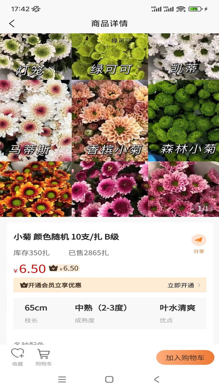 卖花人截图