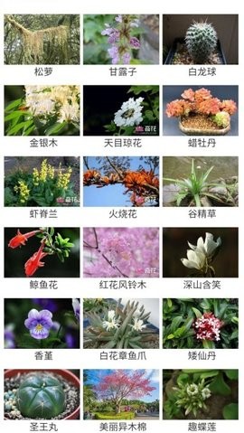 花草种植