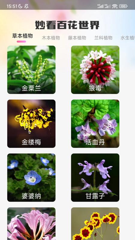 妙看百花app