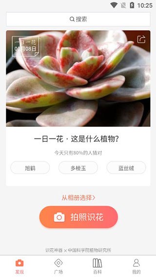 识花君植物识别截图