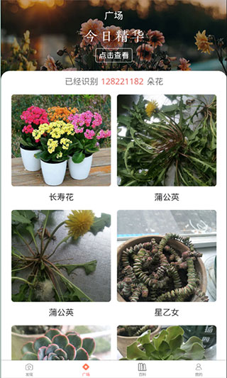 识花君植物识别截图