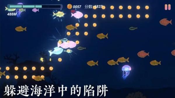 小魚