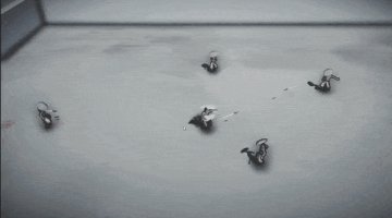 無極道人
