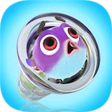 魚丸排序