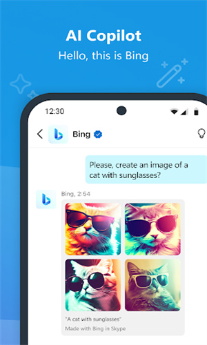 skype2024最新版