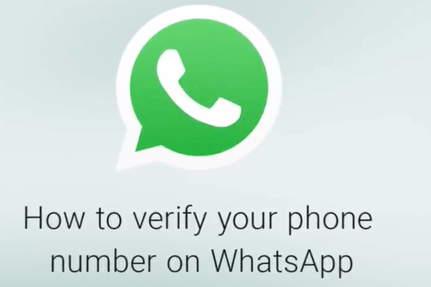 whatsapp business