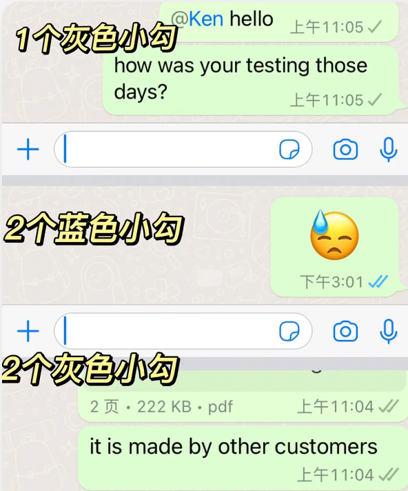 whatsapp官网中文版