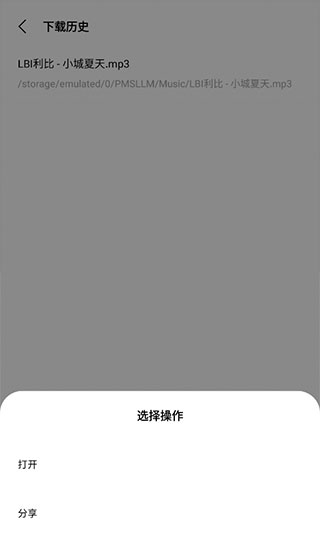 歌詞適配版apk