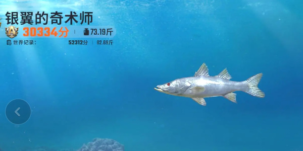 歡樂釣魚大師魚類圖鑒大全 全部種類的魚圖鑒一覽[多圖]圖片21