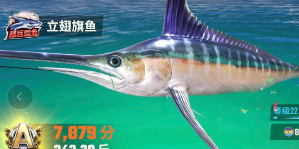 歡樂釣魚大師魚類圖鑒大全 全部種類的魚圖鑒一覽[多圖]圖片20