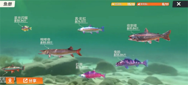 歡樂釣魚大師魚類圖鑒大全 全部種類的魚圖鑒一覽[多圖]圖片4