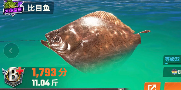 歡樂釣魚大師魚類圖鑒大全 全部種類的魚圖鑒一覽[多圖]圖片11