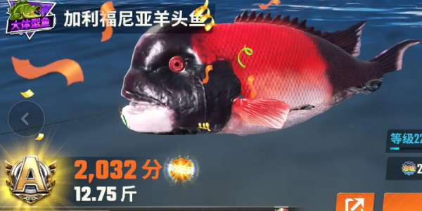 歡樂釣魚大師魚類圖鑒大全 全部種類的魚圖鑒一覽[多圖]圖片15