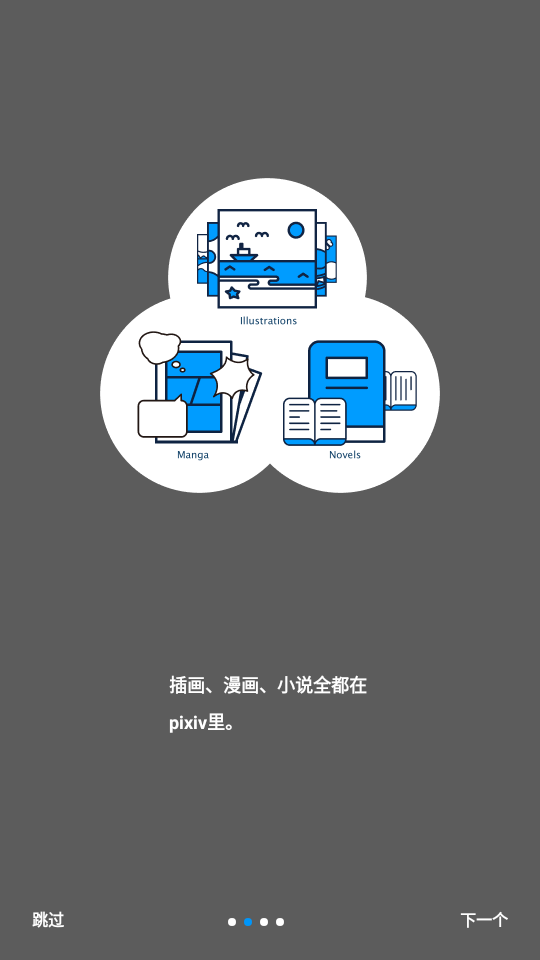 p站proburn中文版