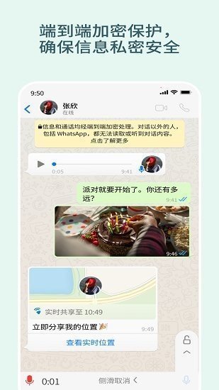 国内whatsapp截图