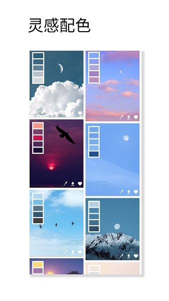 观色配色app截图
