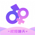 字母站软件